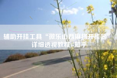 辅助开挂工具“微乐山西麻将开挂器	”(详细透视教程)-知乎