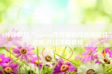 3分钟教程“wepoker作弊辅助挂透视软件	”(透视)开挂详细教程