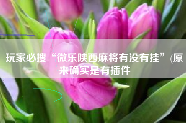 玩家必搜“微乐陕西麻将有没有挂”(原来确实是有插件