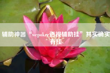 辅助神器“wepoker透视辅助挂	”其实确实有挂