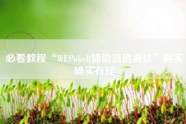 必看教程“WEPokeR辅助器透视挂”其实确实有挂