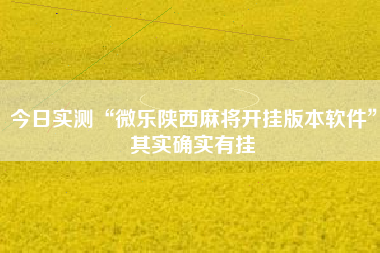 今日实测“微乐陕西麻将开挂版本软件”其实确实有挂