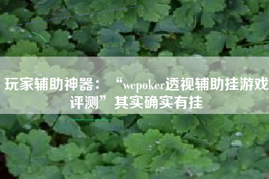 玩家辅助神器：“wepoker透视辅助挂游戏评测”其实确实有挂
