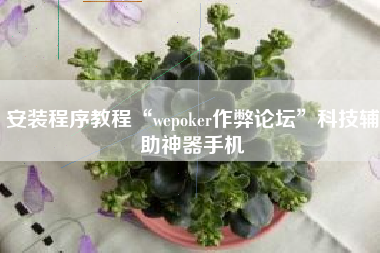 安装程序教程“wepoker作弊论坛	”科技辅助神器手机