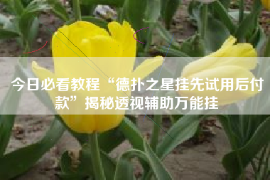 今日必看教程“德扑之星挂先试用后付款	”揭秘透视辅助万能挂