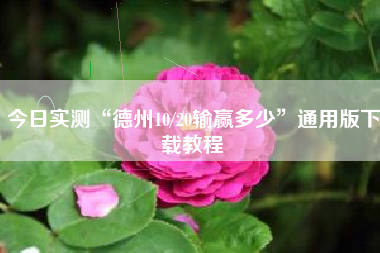 今日实测“德州10/20输赢多少”通用版下载教程