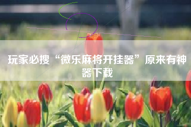 玩家必搜“微乐麻将开挂器”原来有神器下载