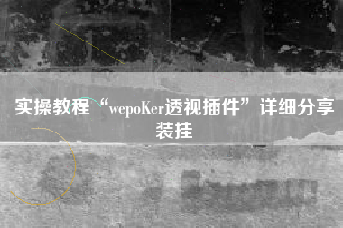 实操教程“wepoKer透视插件”详细分享装挂
