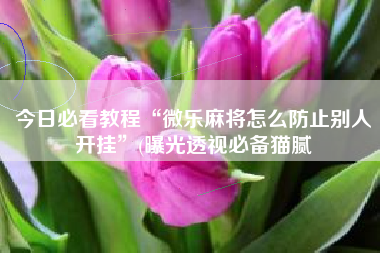 今日必看教程“微乐麻将怎么防止别人开挂”(曝光透视必备猫腻