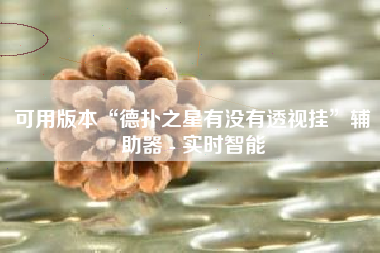 可用版本“德扑之星有没有透视挂	”辅助器 - 实时智能