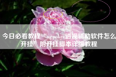 今日必看教程“wepoker透视辅助软件怎么开挂	”附开挂脚本详细教程