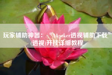 玩家辅助神器：“AApoker透视辅助下载”(透视)开挂详细教程