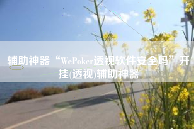 辅助神器“WePoker透视软件安全吗	”开挂(透视)辅助神器