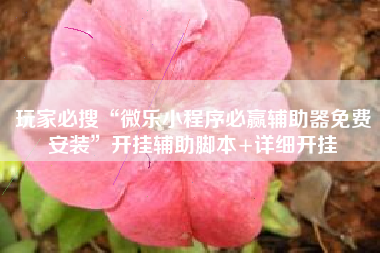 玩家必搜“微乐小程序必赢辅助器免费安装	”开挂辅助脚本+详细开挂