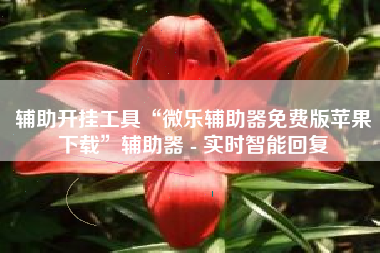 辅助开挂工具“微乐辅助器免费版苹果下载”辅助器 - 实时智能回复