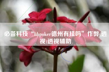 必备科技“hhpoker德州有挂吗	”作弊(透视)透视辅助