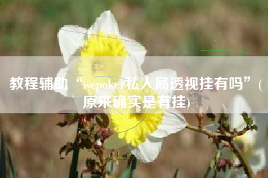 教程辅助“wepoker私人局透视挂有吗	”(原来确实是有挂)