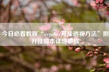 今日必看教程“wepoker开挂透视方法”附开挂脚本详细教程