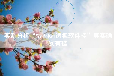 实测分析“WePoKer透视软件挂”其实确实有挂