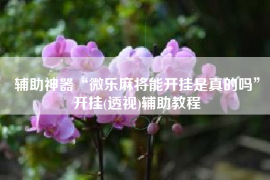 辅助神器“微乐麻将能开挂是真的吗	”开挂(透视)辅助教程