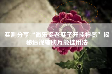 实测分享“微乐捉老麻子开挂神器	”揭秘透视辅助万能挂用法