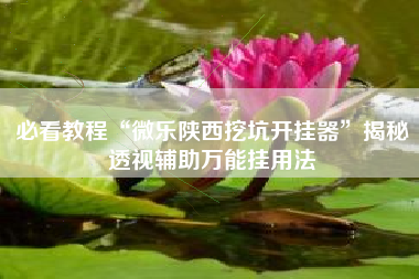 必看教程“微乐陕西挖坑开挂器	”揭秘透视辅助万能挂用法