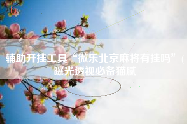 辅助开挂工具“微乐北京麻将有挂吗”(曝光透视必备猫腻