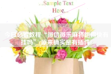 今日必看教程“微信微乐麻将跑得快有挂吗	”(原来确实是有插件)