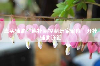 真实辅助“德扑圈控制玩家输赢”开挂辅助详细