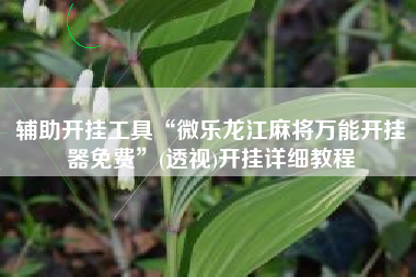 辅助开挂工具“微乐龙江麻将万能开挂器免费”(透视)开挂详细教程