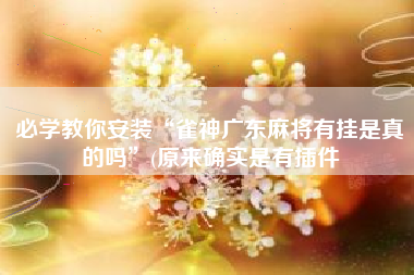 必学教你安装“雀神广东麻将有挂是真的吗”(原来确实是有插件