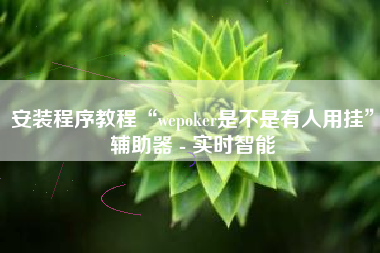 安装程序教程“wepoker是不是有人用挂”辅助器 - 实时智能