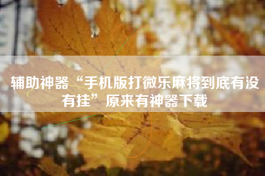 辅助神器“手机版打微乐麻将到底有没有挂”原来有神器下载