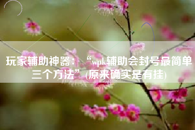 玩家辅助神器：“wpk辅助会封号最简单三个方法”(原来确实是有挂)