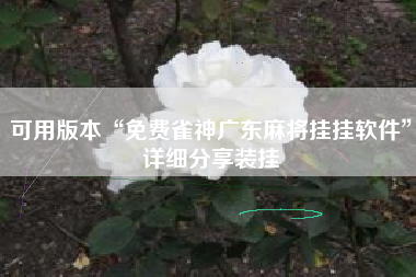 可用版本“免费雀神广东麻将挂挂软件”详细分享装挂