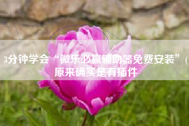 3分钟学会“微乐必赢辅助器免费安装”(原来确实是有插件