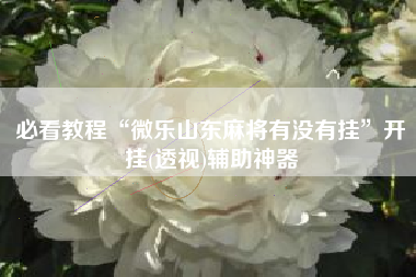必看教程“微乐山东麻将有没有挂	”开挂(透视)辅助神器