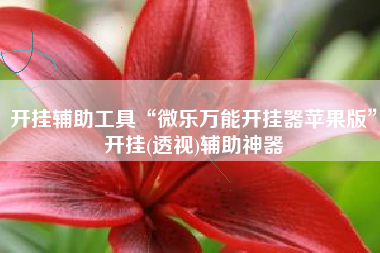 开挂辅助工具“微乐万能开挂器苹果版”开挂(透视)辅助神器
