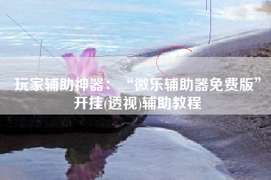 玩家辅助神器：“微乐辅助器免费版”开挂(透视)辅助教程