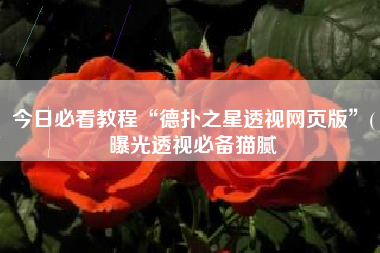 今日必看教程“德扑之星透视网页版”(曝光透视必备猫腻