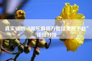 真实辅助“微乐麻将万能挂免费下载	”详细开挂