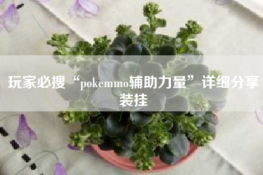 玩家必搜“pokemmo辅助力量”详细分享装挂