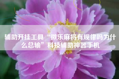 辅助开挂工具“微乐麻将有规律吗为什么总输”科技辅助神器手机