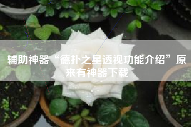 辅助神器“德扑之星透视功能介绍”原来有神器下载