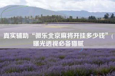 真实辅助“微乐北京麻将开挂多少钱	”(曝光透视必备猫腻