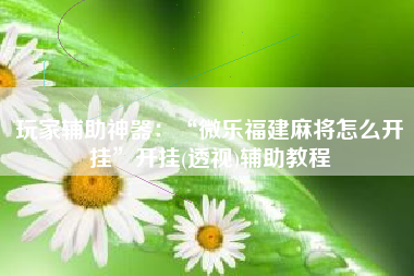 玩家辅助神器：“微乐福建麻将怎么开挂”开挂(透视)辅助教程