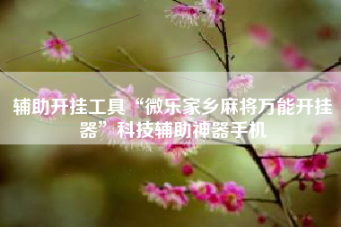 辅助开挂工具“微乐家乡麻将万能开挂器”科技辅助神器手机