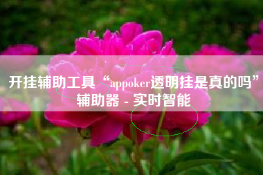 开挂辅助工具“appoker透明挂是真的吗”辅助器 - 实时智能