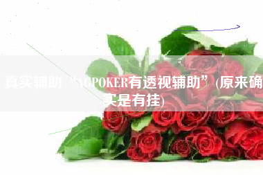 真实辅助“AGPOKER有透视辅助	”(原来确实是有挂)