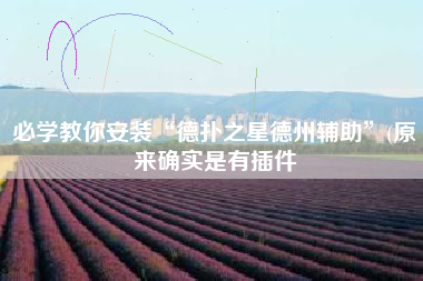 必学教你安装“德扑之星德州辅助	”(原来确实是有插件